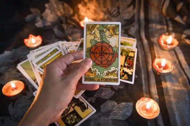 tarot cards Circle Pines